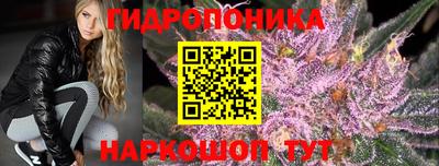 твердый Кингисепп