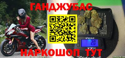 твердый Кингисепп