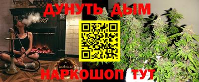 твердый Кингисепп