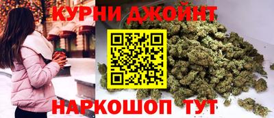 шишки Кимры