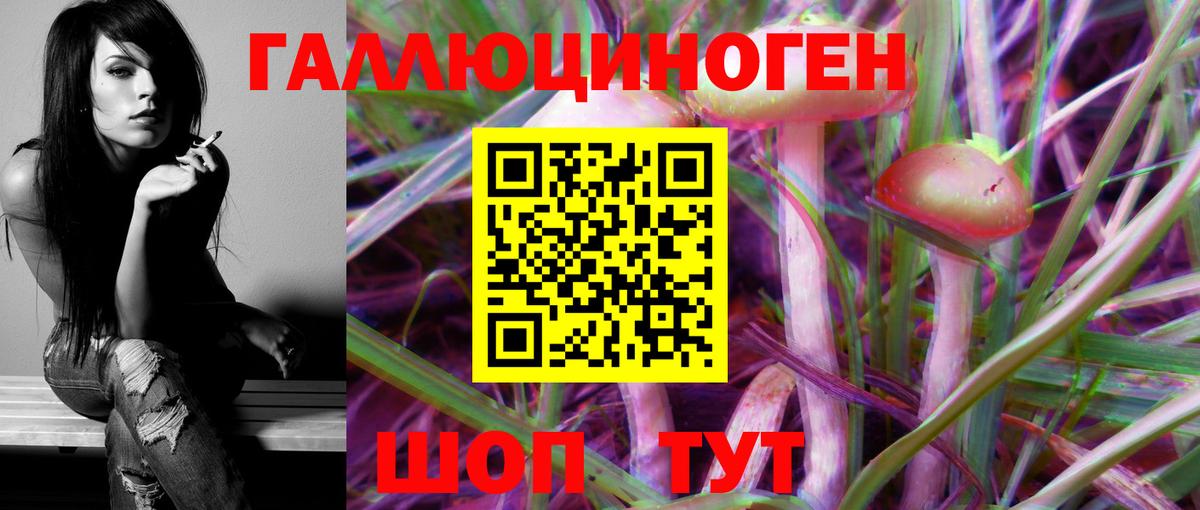 Галлюциногенные грибы Psilocybine cubensis Урай
